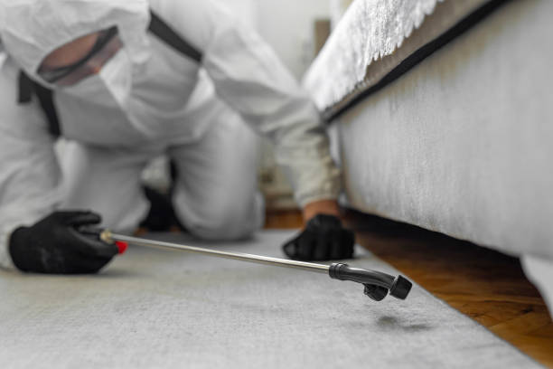 Professional Bed Bug Control technician working in Lake Camelot, IL