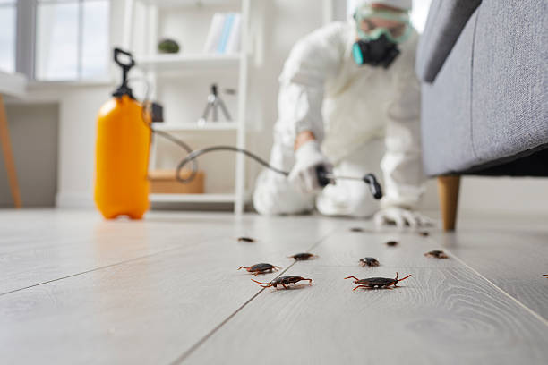 Trusted Termite Control service in Lake Camelot, IL - Nex Pest Control