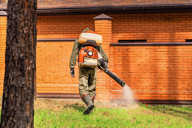 Trusted Bed Bug Control service in Lake Camelot, IL - Nex Pest Control